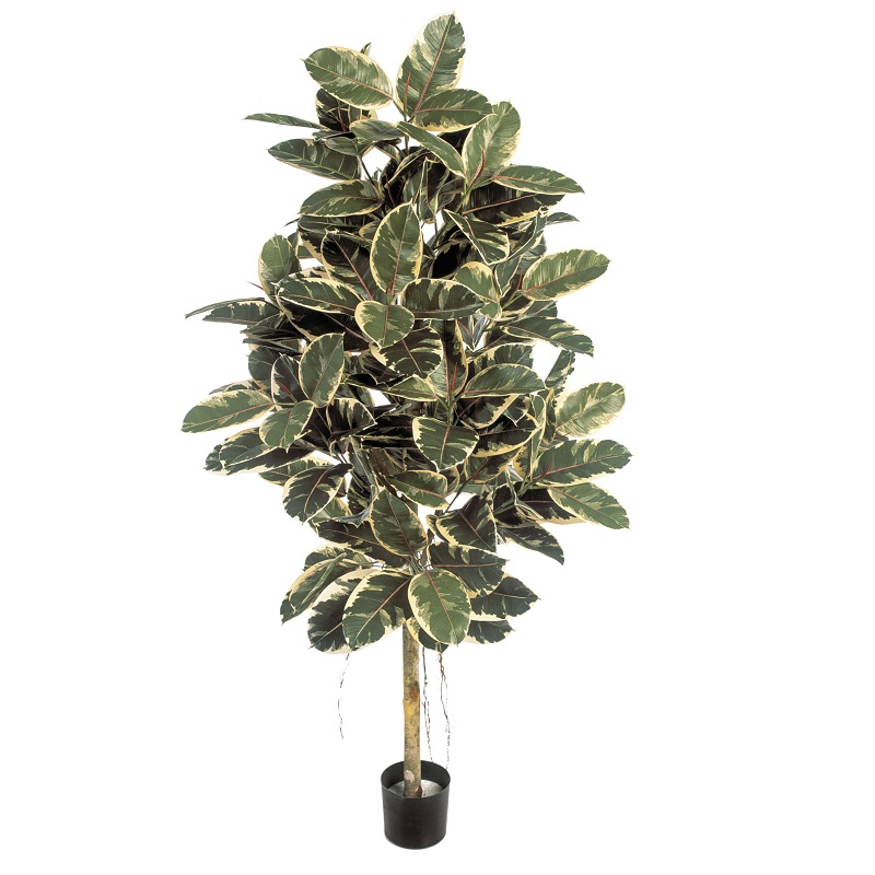 Arvores Artificiais - Ficus Elastica | Darden | Importação, Produção e Comercialização de Plantas e Árvores Artificiais
