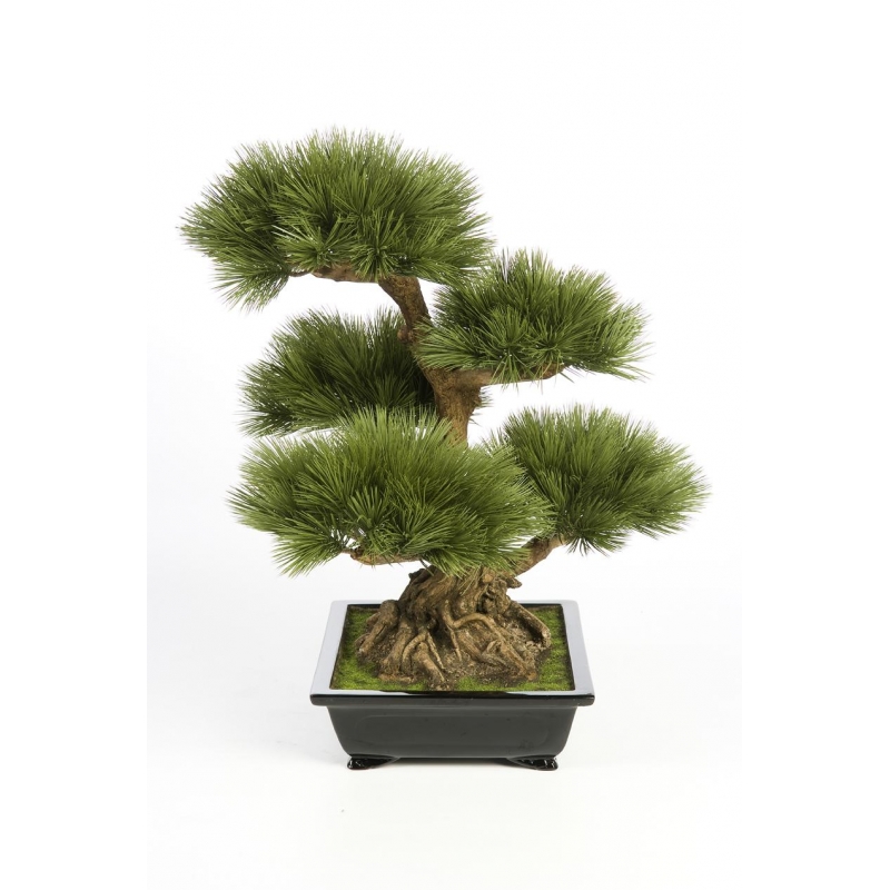 Plantas e Arvores Exoticas - Bonsai | Darden | Importação, Produção e Comercialização de Plantas e Árvores Artificiais