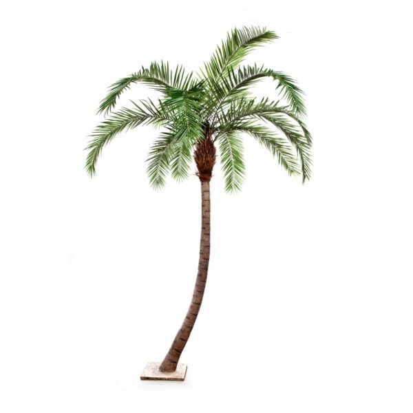 Plantas Arvores Exoticas - Palmeira | Darden | Importação, Produção e Comercialização de Plantas e Árvores Artificiais