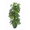 Plantas Artificiais - Split-Philo| Darden | Importação, Produção e Comercialização de Plantas e Árvores Artificiais