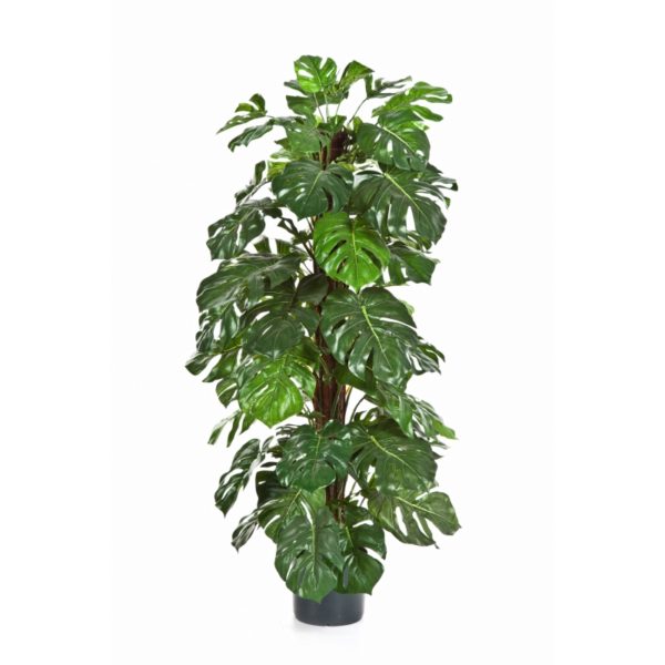 Plantas Artificiais - Split-Philo| Darden | Importação, Produção e Comercialização de Plantas e Árvores Artificiais