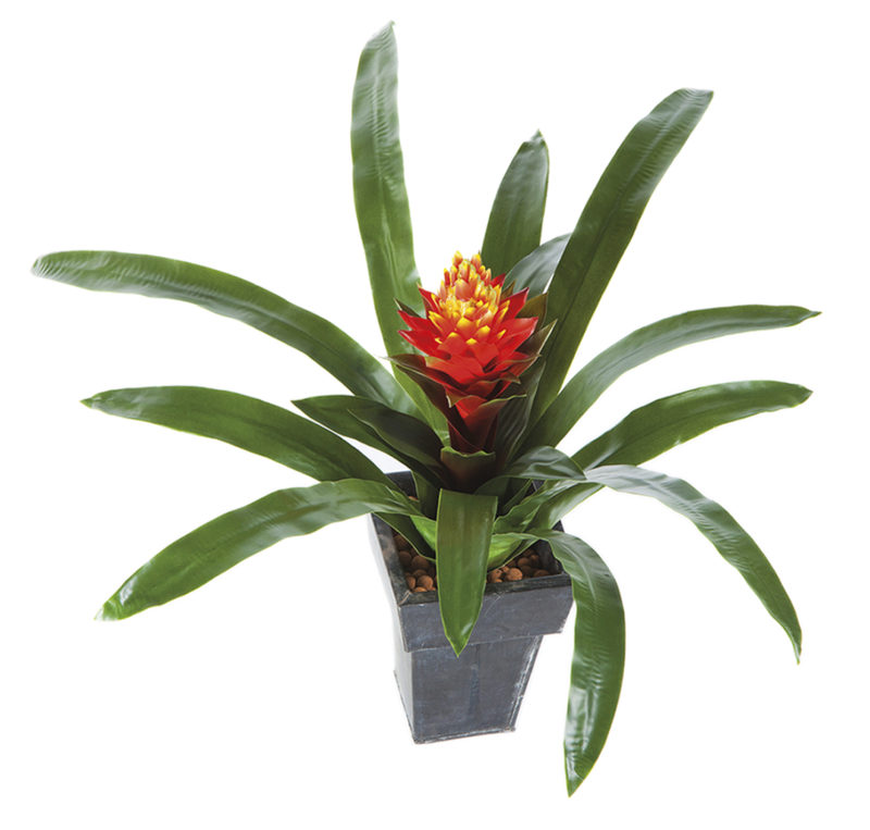 Plantas e Arvores Artificiais - Guzmania | Darden | Importação, Produção e Comercialização de Plantas e Árvores Artificiais