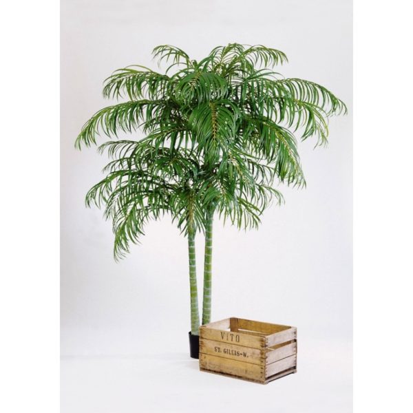 Plantas Arvores Exoticas - Palmeira Areca | Darden | Importação, Produção e Comercialização de Plantas e Árvores Artificiais