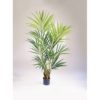 Plantas Arvores Exóticas - Palmeira Kentia | Darden | Importação, Produção e Comercialização de Plantas e Árvores Artificiais