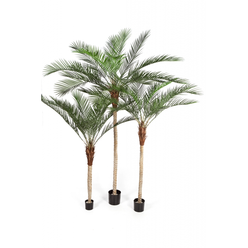 Plantas Arvores Exóticas - Palmeira | Darden | Importação, Produção e Comercialização de Plantas e Árvores Artificiais