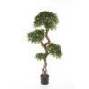 Plantas e Arvores Exoticas - Podocarpus | Darden | Importação, Produção e Comercialização de Plantas e Árvores Artificiais