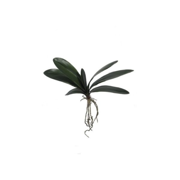 Plantas Artificiais - Haste Orquidea Phalaenopsis | Darden | Importação, Produção e Comercialização de Plantas e Árvores Artificiais