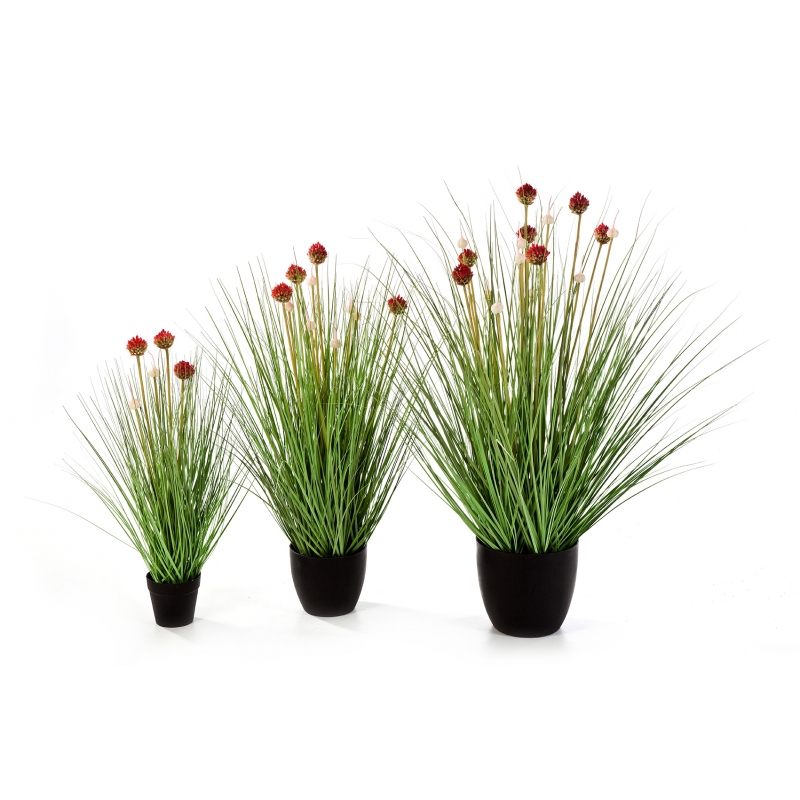 Plantas Artificiais - Allium Grass | Darden | Importação, Produção e Comercialização de Plantas e Árvores Artificiais