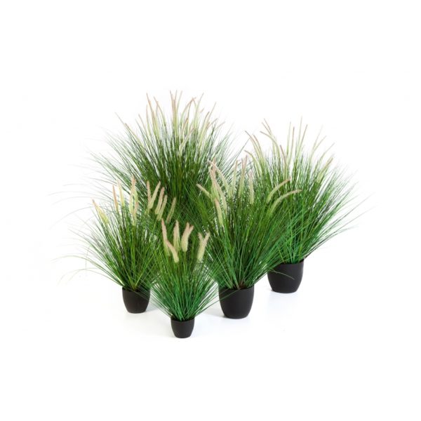 Plantas Artificiais - Pennisetum Grass | Darden | Importação, Produção e Comercialização de Plantas e Árvores Artificiais