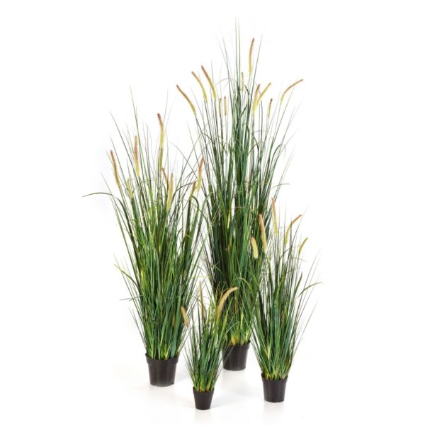 Plantas Artificiais - Foxtail Grass | Darden | Importação, Produção e Comercialização de Plantas e Árvores Artificiais
