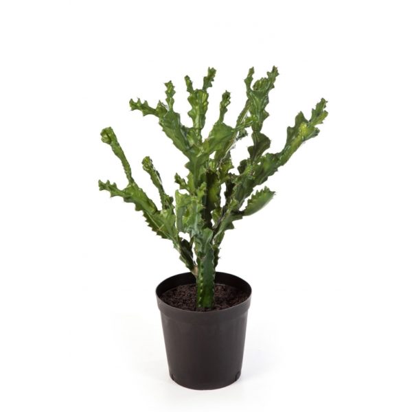 Plantas Artificiais - Mountain Cactus| Darden | Importação, Produção e Comercialização de Plantas e Árvores Artificiais