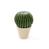 Plantas e Arvores Artificiais - Barrel Cactus| Darden | Importação, Produção e Comercialização de Plantas e Árvores Artificiais