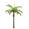 Plantas Arvores Exoticas- Palmeira Phoenix | Darden | Importação, Produção e Comercialização de Plantas e Árvores Artificiais