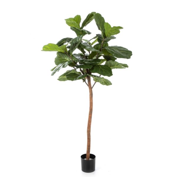 Arvores Artificiais - Ficus Lyrata | Darden | Importação, Produção e Comercialização de Plantas e Árvores Artificiais