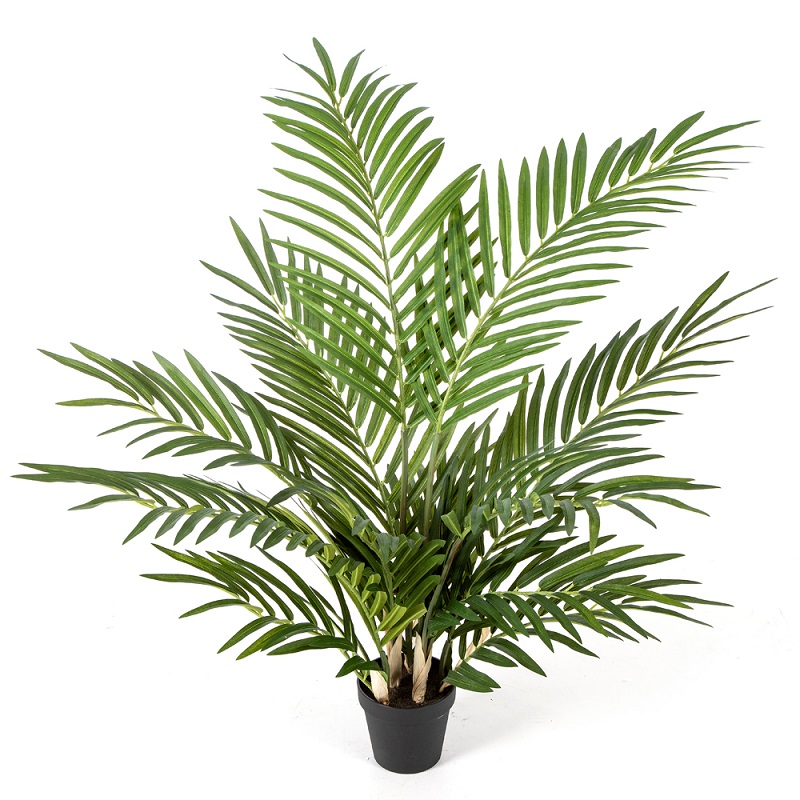 Plantas Arvores Exoticas - Palmeira Areca Forest | Darden | Importação, Produção e Comercialização de Plantas e Árvores Artificiais