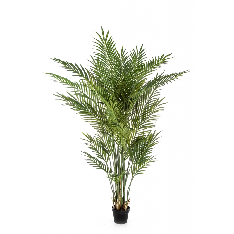 Plantas Arvores Exoticas - Palmeira Areca Forest | Darden | Importação, Produção e Comercialização de Plantas e Árvores Artificiais
