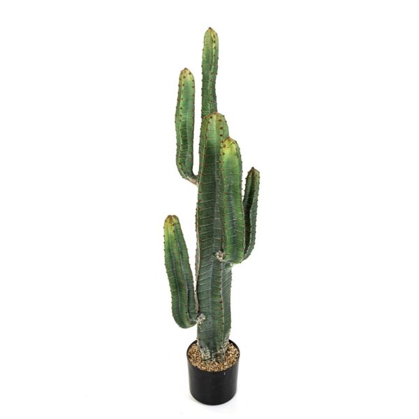 Plantas e Arvores Artificiais - Cereus Cactus| Darden | Importação, Produção e Comercialização de Plantas e Árvores Artificiais