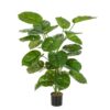Plantas Artificiais - Pothos | Darden | Importação, Produção e Comercialização de Plantas e Árvores Artificiais