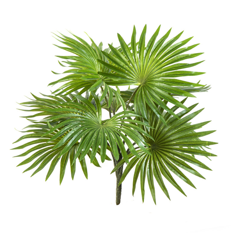 Plantas e Arvores Artificiais - Palmeira Fan | Darden | Importação, Produção e Comercialização de Plantas e Árvores Artificiais