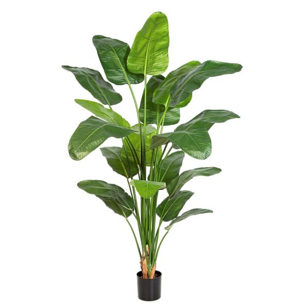 Plantas Artificiais - strelitzia nicolai | Darden | Importação, Produção e Comercialização de Plantas e Árvores Artificiais